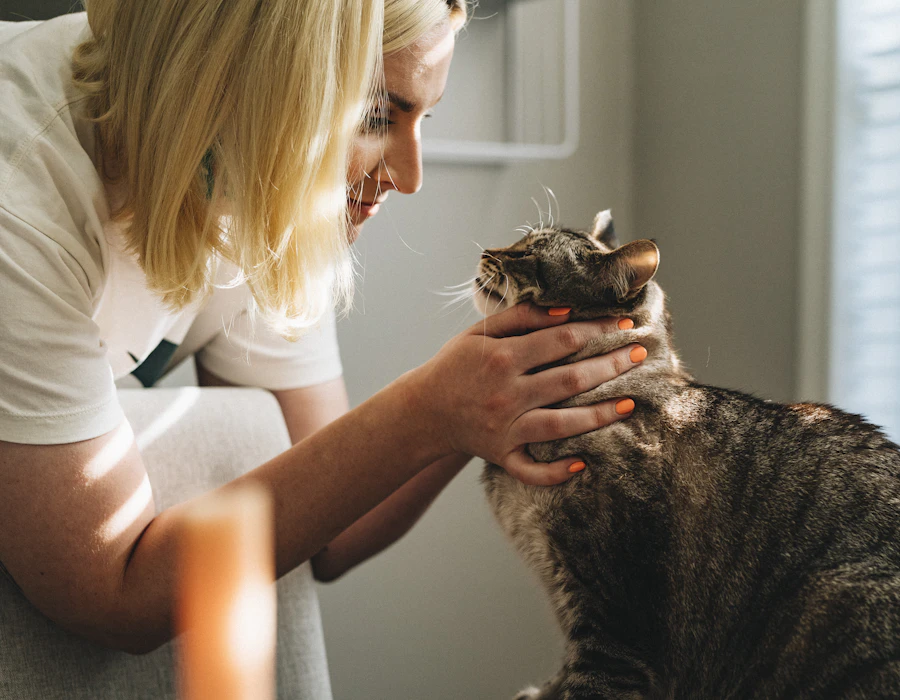Veterinaria revisando a un gato atigrado con calma